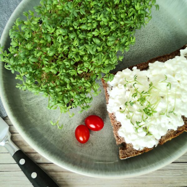 Brunnenkresse auf einem Frischkäsebrot und mit Tomaten angerichtet