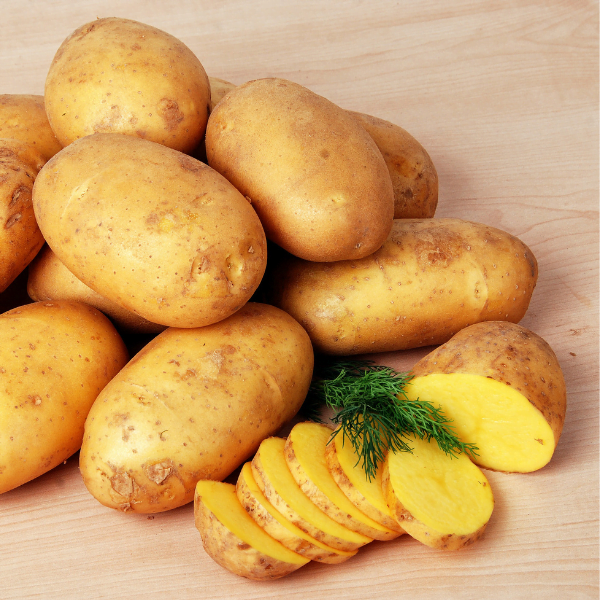 Bio Kartoffeln 1,5kg