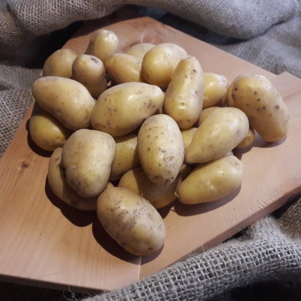 Kartoffeln Drillinge